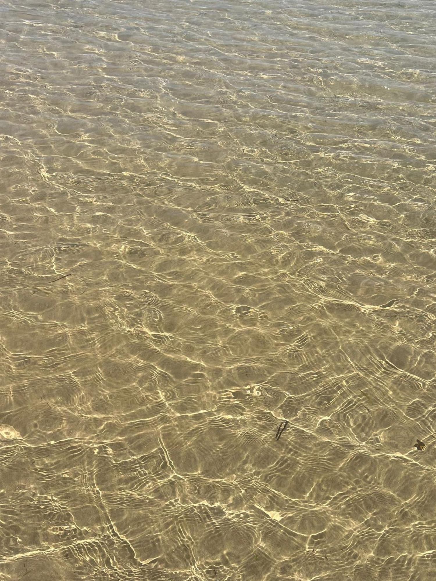 مبيت وإفطار جيلا In Riva Al Mare المظهر الخارجي الصورة
