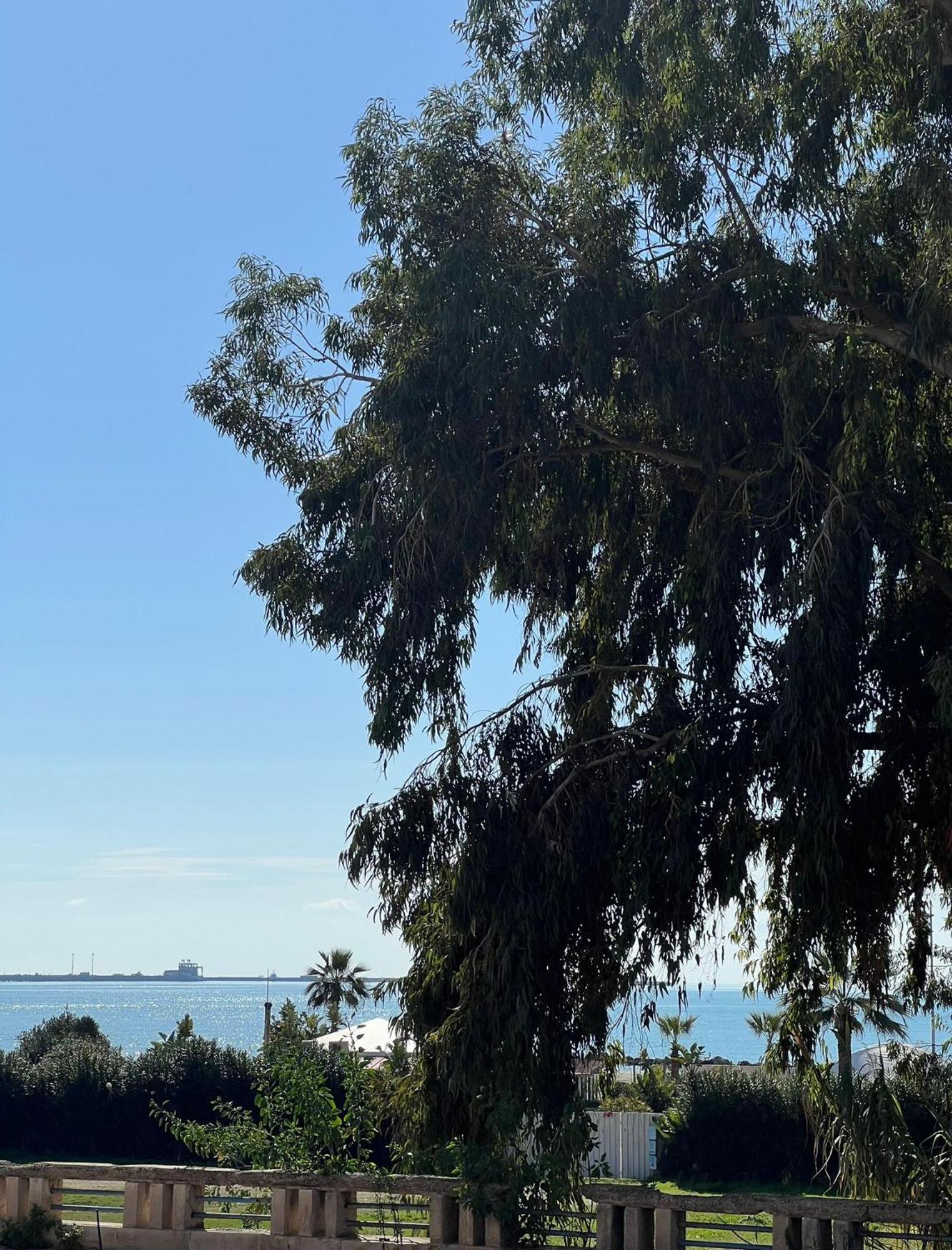 مبيت وإفطار جيلا In Riva Al Mare المظهر الخارجي الصورة